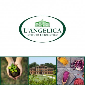 L'Angelica Vitamine Gruppo B Integratore Alimentare con Estratto di