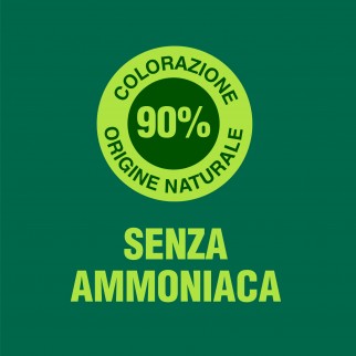 Garnier Belle Color Naturals Tinta Permanente per Capelli 3.1 Castano