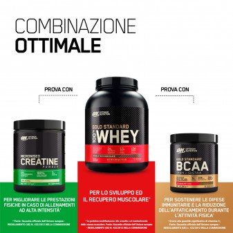 Optimum Nutrition Gold Standard 100% Whey Proteine Isolate in Polvere