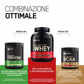 Optimum Nutrition Gold Standard 100% Whey Proteine Isolate in Polvere