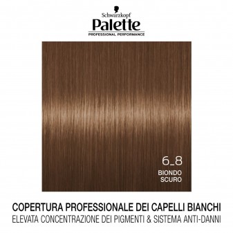 Schwarzkopf Palette Tinta Permanente Professionale con Tecnologia