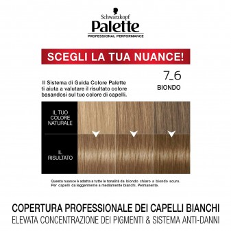 Schwarzkopf Palette Tinta Permanente Professionale Intensa Tecnologia