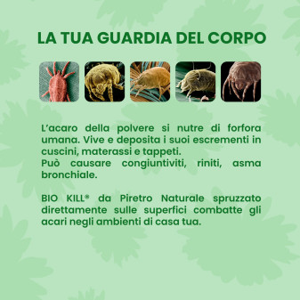 Insetticida Acaricida da Piretro Naturale 1L Bio Kill