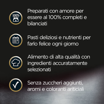 Cibo per Cani con Manzo Verdure Riso Cesar Scelta dello Chef