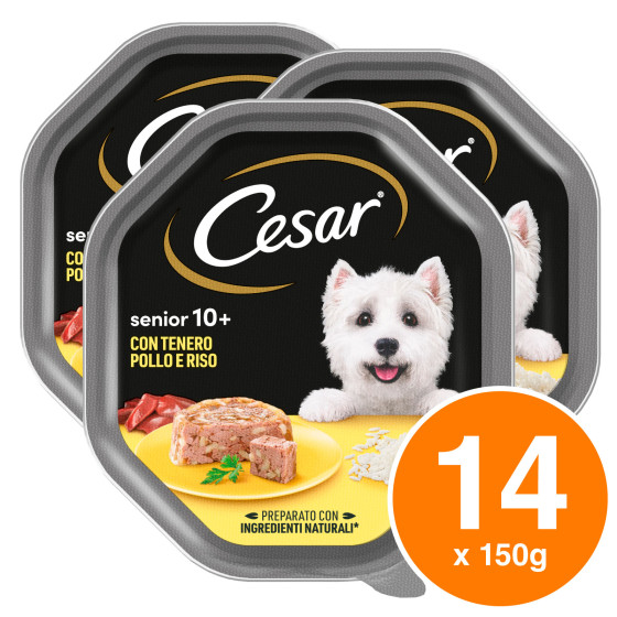 Cibo per Cani con Pollo e Riso in Gelatina Cesar Senior 10+ Cibo per Cani con Pollo e Riso in Gelatina Cesar Senior 10+