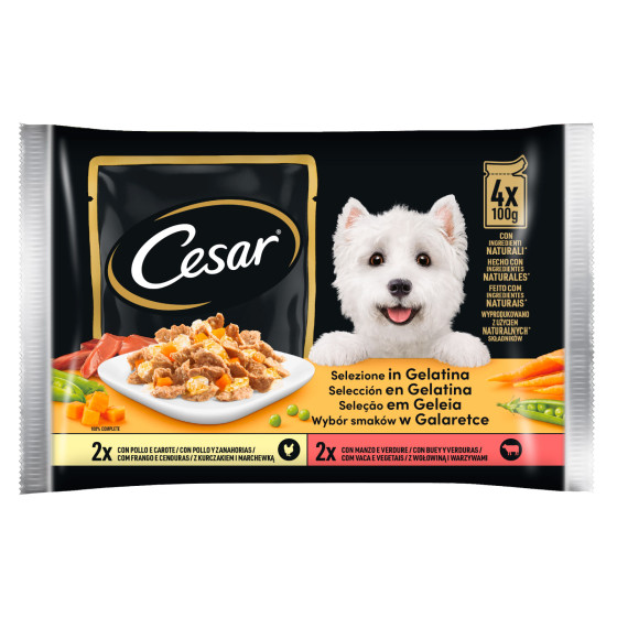 Cibo per Cani con Pollo e Manzo Cesar Selezione in Gelatina Cibo per Cani con Pollo e Manzo Cesar Selezione in Gelatina