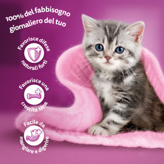Whiskas Pure Delight Cibo per Gatti Junior Pollo e Tacchino