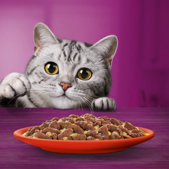 Whiskas Cibo per Gatti Pranzetti in Salsa Carni Miste