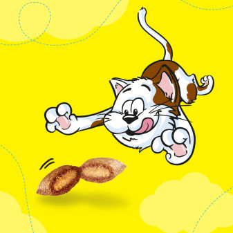 Kit Snack Gatti 3 Gusti Salmone Formaggio Pollo Catisfaction 36 Pezzi