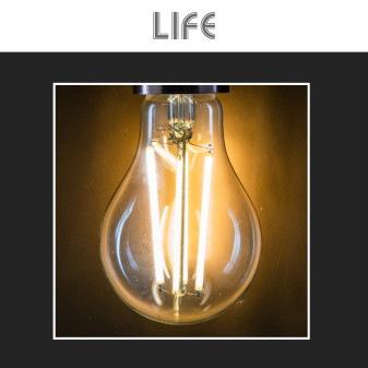 Lampadina LED E27 12W Bulb A70 Goccia Filament Vetro Life