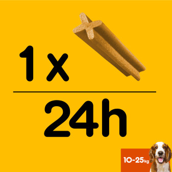 Acquista Pedigree Dentastix Medium per l'igiene orale del Ca