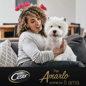 Cibo  Cani Selezione in Salsa Assortiti - 96 Bustine Cesar