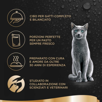 Sheba Délices Du Jour in Salsa Gusto Manzo e Pollo per Gatti 6x