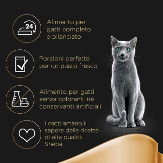 Sheba Mini Filets Selezione Delicata in Salsa per Gatti 60x 85g