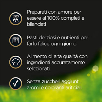 Cibo per Cani Selezioni dell'Orto Tacchino Verdure RIso Cesar 14x