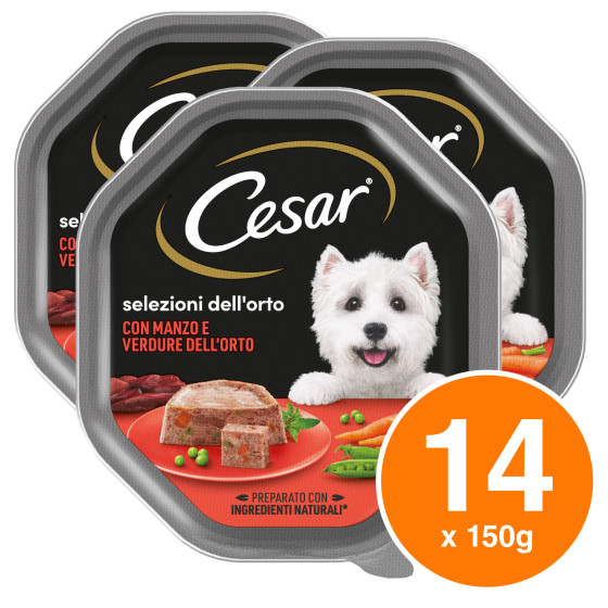 Cibo per Cani Selezioni dell'Orto con Manzo e Verdure Cesar 14x 150g Cibo per Cani Selezioni dell'Orto con Manzo e Verdure Cesar 14x 150g