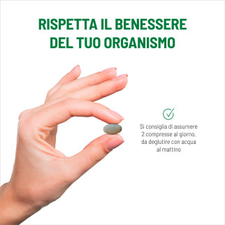 Equilibra Moringa Protein Equilibrio del Peso 120 Compresse