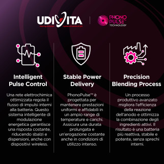 Udivita Batterie Protesi Acustiche Misura 312 Blister da 6