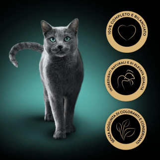 Sheba Délices Du Jour in Salsa Manzo Pollo Agnello per Gatti 6x