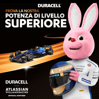 Duracell Plus MN1500 LR6 Stilo AA Mignon 1,5V Pile Alcaline