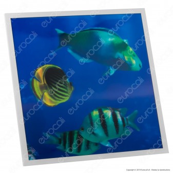 Ener-J 4 Pannelli LED 60x60 40W SMD Fantasia Fondale Marino 3D con