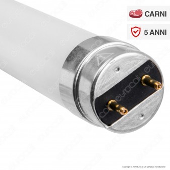 Bot Lighting Shot Tubo LED T8 Mod. Meat Tube G13 11,6W Lampadina
