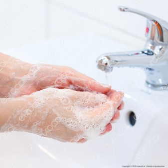Omia Non Sapone Detergente per Mani e Viso Aloe Vera - Flacone da 300