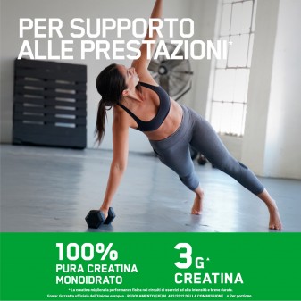 Optimum Nutrition Micronised Creatine Creatina Monoidrato in Polvere