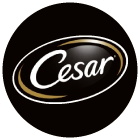 Cesar